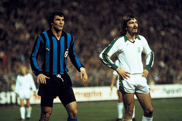 纳的世界 纳的世界